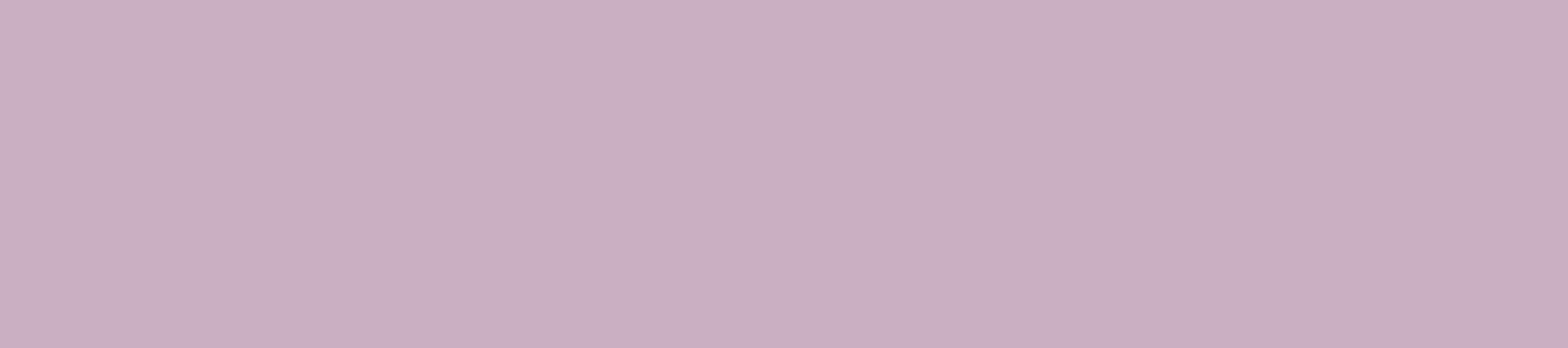 Orchid Purple